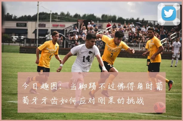 今日趣图：当脚踢不过佛得角时葡萄牙牙齿如何应对刚果的挑战